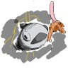 Profilbild von 魚にソ