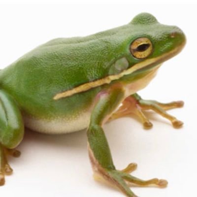 Osakpolor55's profile picture