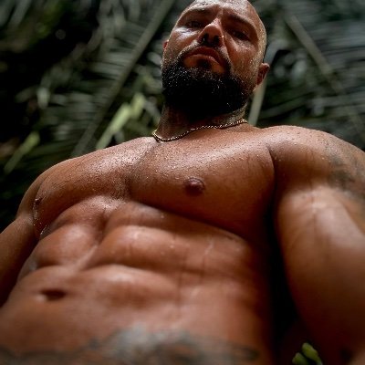RYAN JAMES XXL's profile picture