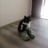 Profilbild von Bücürmüdür