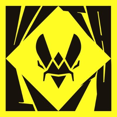 TeamVitality's profile picture