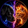 Pawflict's profile picture