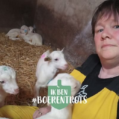 melkgeiten's profile picture