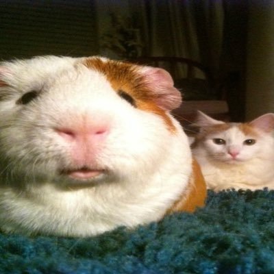 ໊'s profile picture