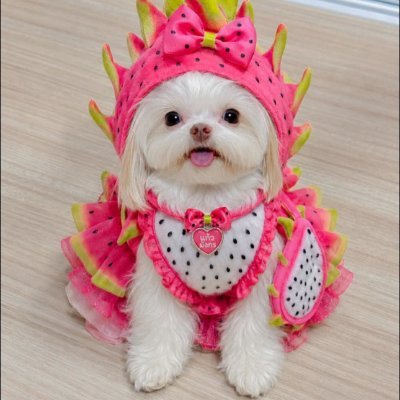 phachrichi26984's profile picture