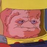 Budinski's profile picture