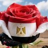 Profilbild von Dr /MOUSTAFA