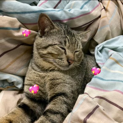 ps_giny's profile picture