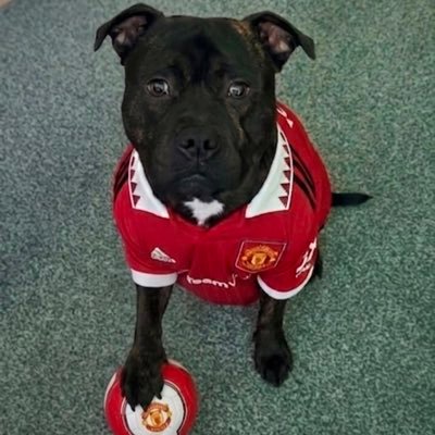 angieMUFC1's profile picture