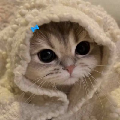PhuddingD's profile picture