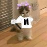 Profilbild von ʟɪᴠɪᴀ ⁷