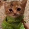 Nixieeee profil fotoğrafı