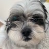 かもねーず's profile picture