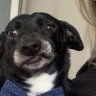 james's profile picture
