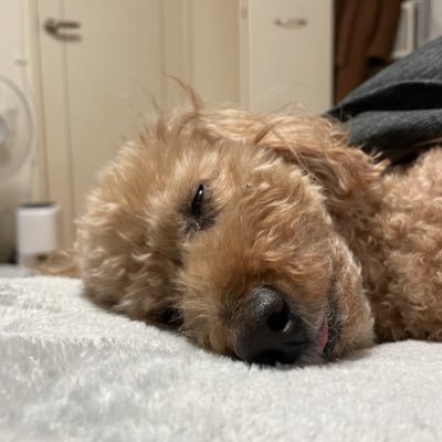 Yipsfn's profile picture