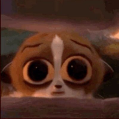 xpuntoopalescen's profile picture