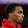 The Arsenal-Lad's profile picture