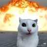 sjsw's profile picture