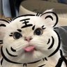 meuu🌬 profil fotoğrafı