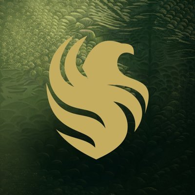 Team Falcons's profile picture