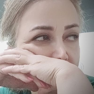 shakiba's profile picture