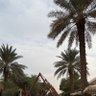 sarr profil fotoğrafı