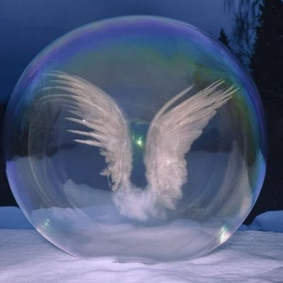 starshinesprite's profile picture