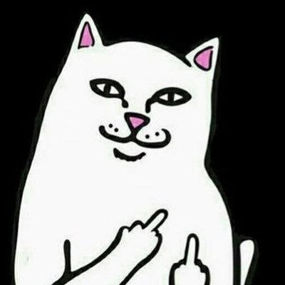 RIPNDIP's profile picture