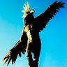 babel's profile picture