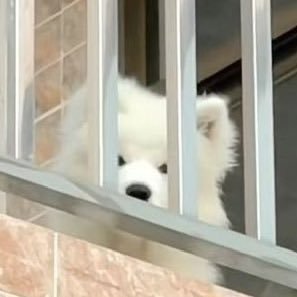 itsharuxhs's profile picture