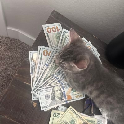 Smoke's profile picture