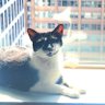 Beth profil fotoğrafı
