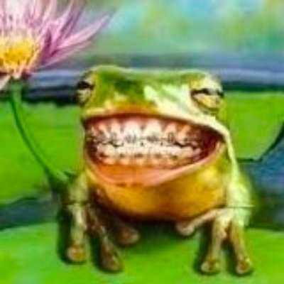 🇧🇷 BOBOnils𖦹n 土 QSMP2 .ᐟ's profile picture