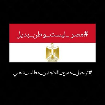 𓉔𓇋𓈖𓂧 HIND's profile picture