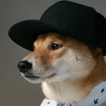 Cezary Ross's profile picture