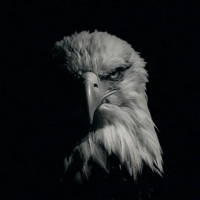 iqrdrpb's profile picture