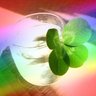 てくてく's profile picture
