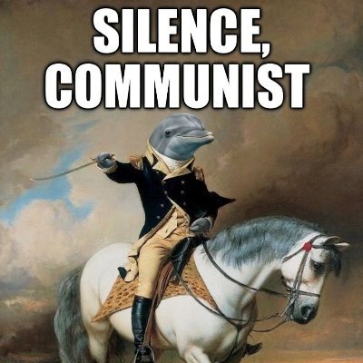 RobotDolphin3's profile picture