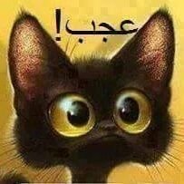 Malusakam's profile picture