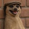 Profilbild von vexoraF_X