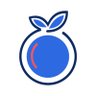 Blue Guavas's profile picture