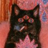 red bear's profile picture