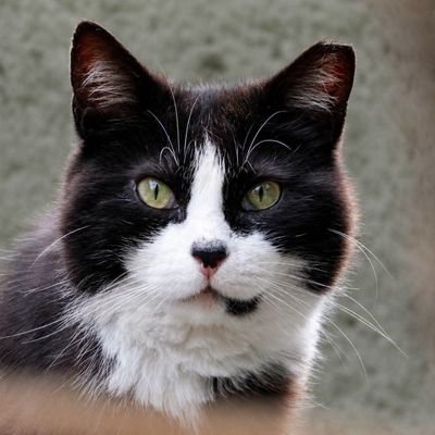 PedroAndres_80's profile picture