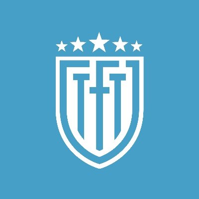 thesefootytimes's profile picture