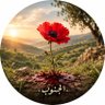 كريم 的头像