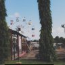 MAX 的头像
