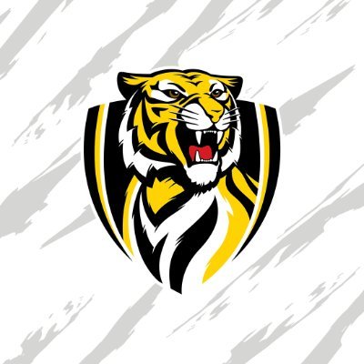 RichmondVFL's profile picture
