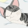 乔乔's profile picture
