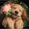 mbetty's profile picture
