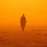 Profilbild von [2049]